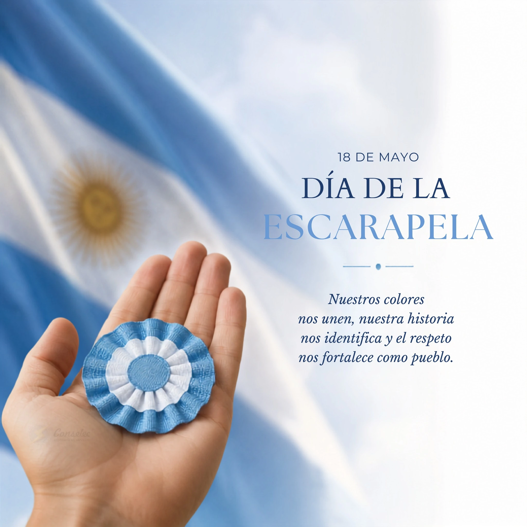 Imagen institucional completa por el Día de la Escarapela